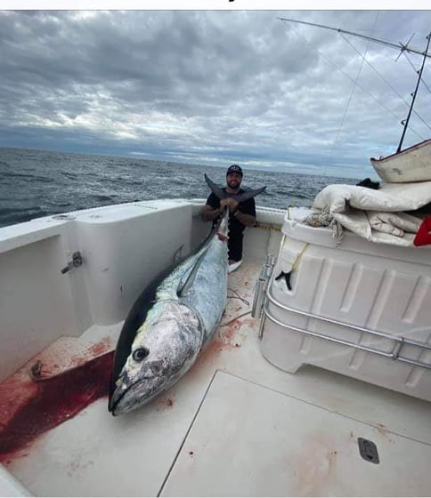 Big Catch Man Reels In 400 Pound Tuna At Jersey Shore New Jersey News Network Big Catch Man Reels In 400 Pound Tuna At Jersey Shore New Jersey News Network